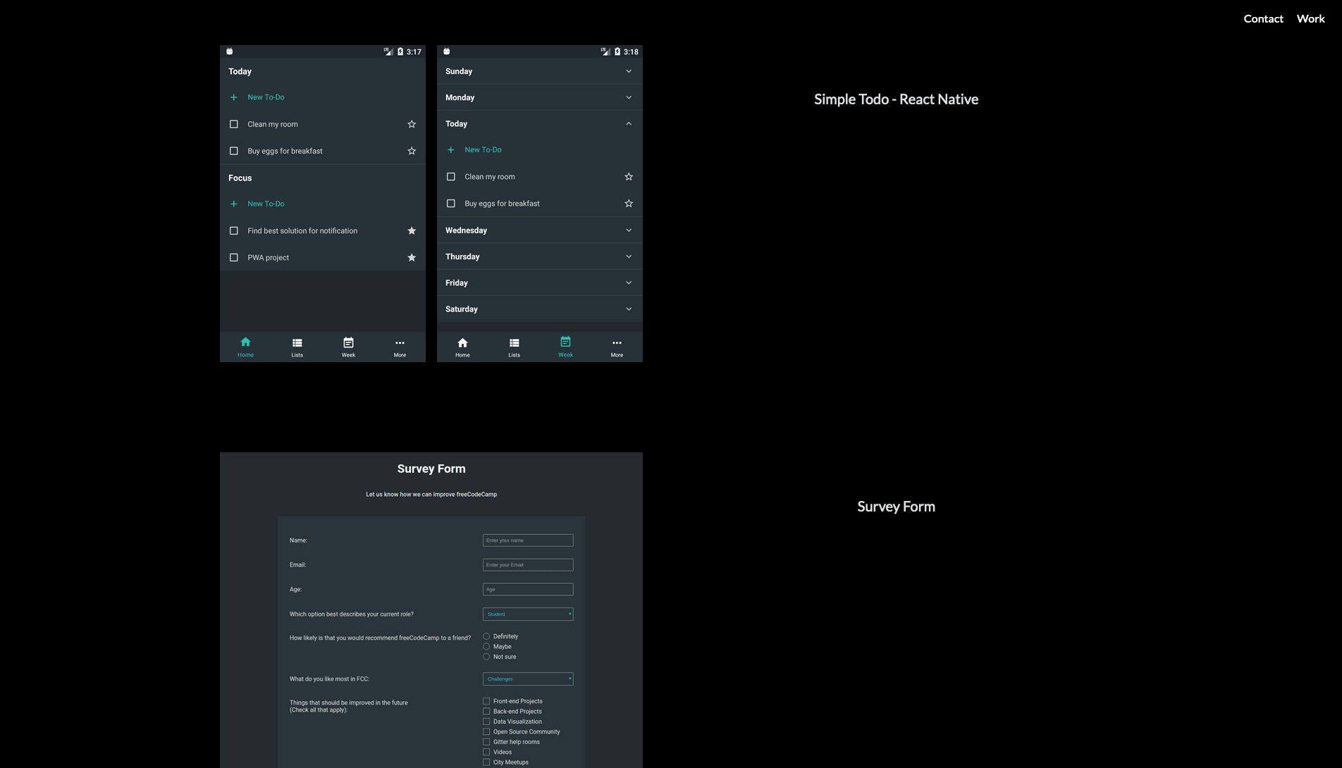 Personal Portfolio Webpage screenshot 2